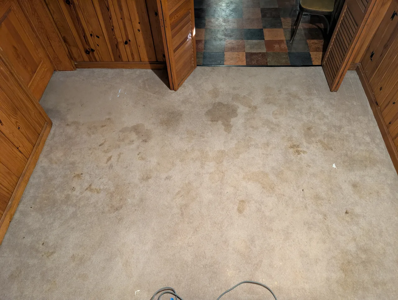 Carpet before cleaning, heavily soiled throughout with pet stains